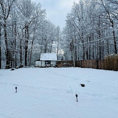 Romantyczna Chatka Pisarzowice  Eksteriør bilde