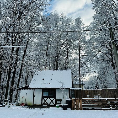 Romantyczna Chatka Pisarzowice  Eksteriør bilde
