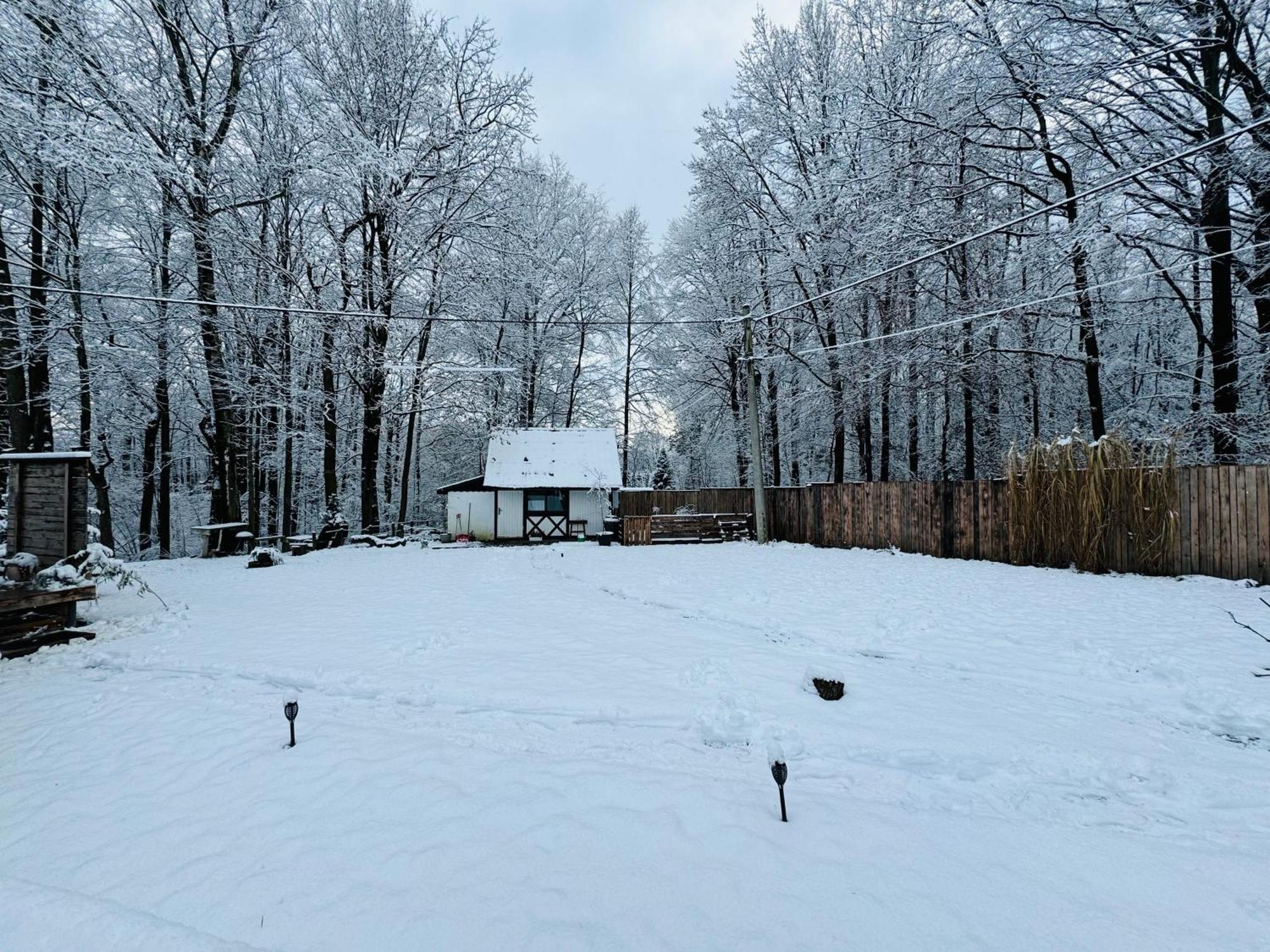 Romantyczna Chatka Pisarzowice  Eksteriør bilde