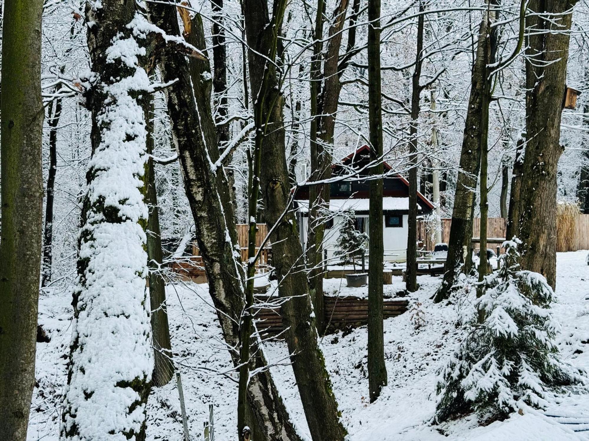 Romantyczna Chatka Pisarzowice  Eksteriør bilde
